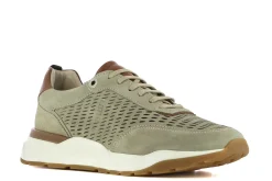 Lottusse Zapatillas Osaka^Hombre Zapatillas